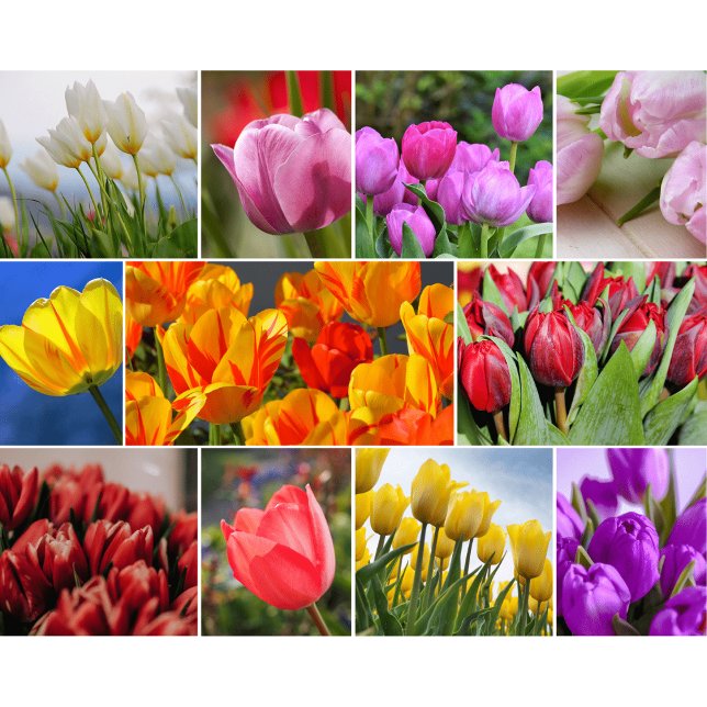 Tabla de cortar de vidrio con flores decorativas (Subido por el creador)