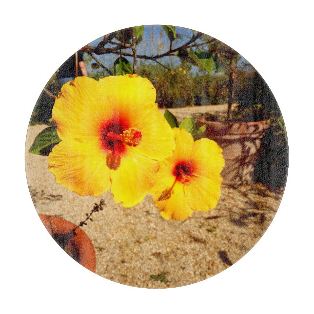 Tabla de cortar de vidrio de hibisco amarillo (Anverso)