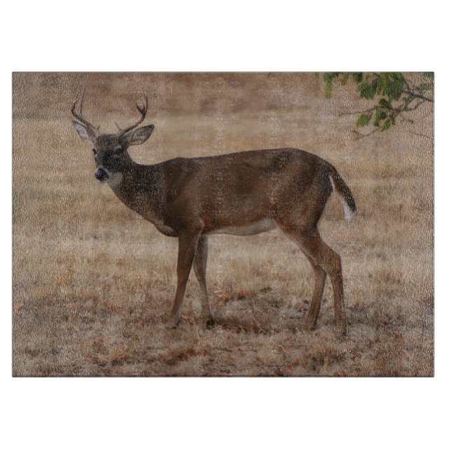 Tabla De Cortar Deer Buck Wild Art Glass Cutting Board (Anverso)