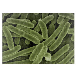 tabla de cortar del germen Alto-res