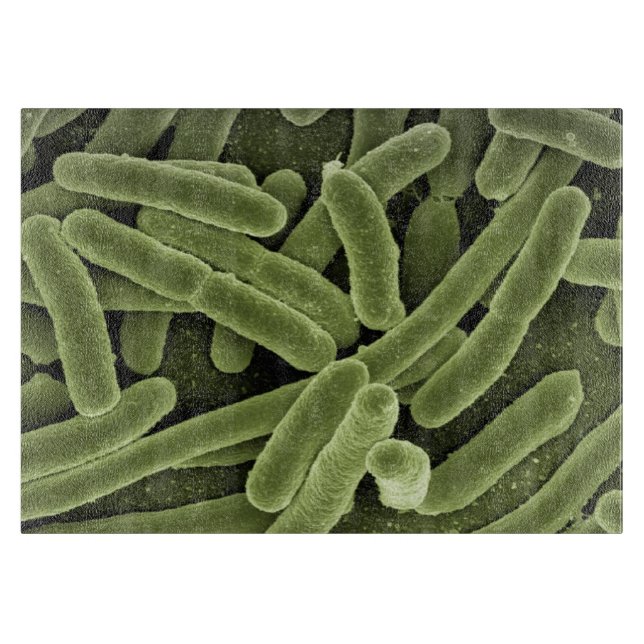 tabla de cortar del germen Alto-res (Anverso)