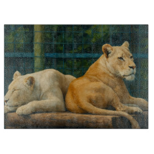 Tabla De Cortar Descanso protegido - Pareja de leones en ambientes