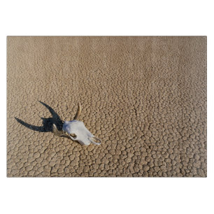 Tabla De Cortar Desiertos   Calavera de vaca en la tierra del desi