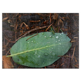 Tabla De Cortar Dew Dappling Leaf
