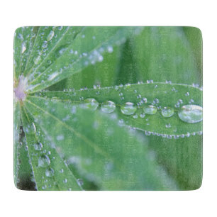 Tabla De Cortar Dewdrop