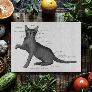 Tabla De Cortar Diagrama divertido de anatomía de gato Humor nerd