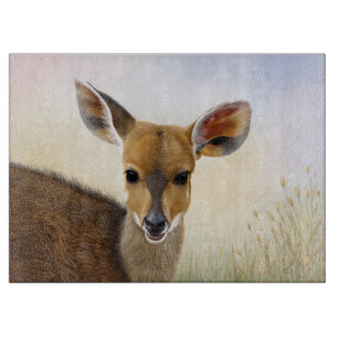 Tabla De Cortar Dibujo de Antelope Bushbuck, joven ciervo africano