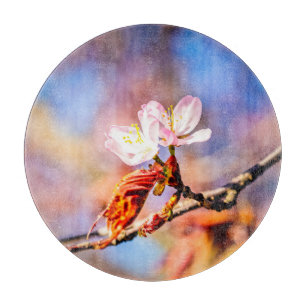Tabla De Cortar Dos Flores Asombrosas De Sakura. Fondo rosa y azul