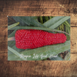 Tabla De Cortar Dragon Lily Red Seed Head