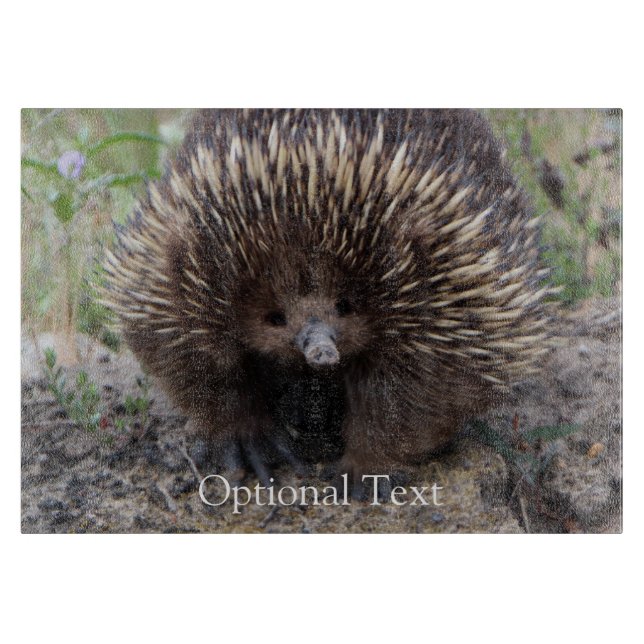 Tabla De Cortar Echidna o Anteater espinoso Australia (Anverso)