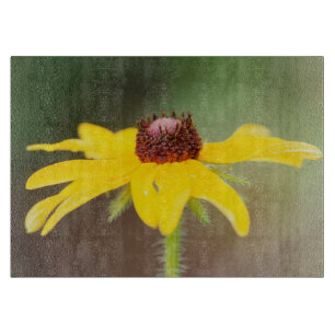 Tabla De Cortar EE. UU., Colorado, Boulder. Girasol primer plano