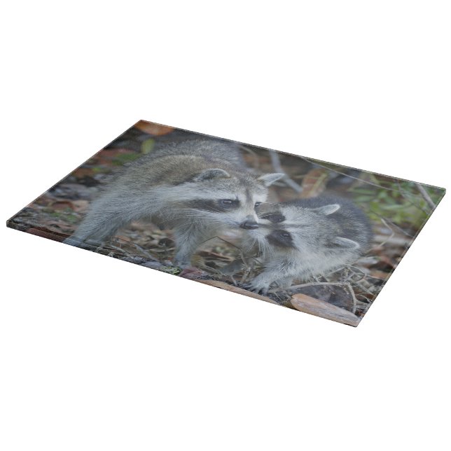 Tabla De Cortar EE. UU., Florida, Sanibel, Ding Darling Nacional (Borde)