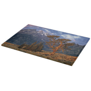 Tabla De Cortar EE. UU., Wyoming, Parque Nacional Grand Teton. Un