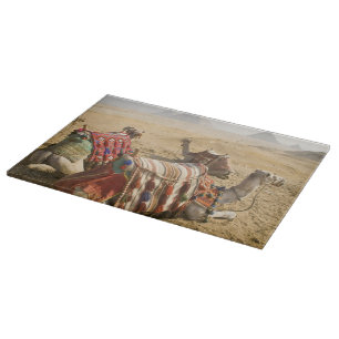 Tabla De Cortar Egipto, El Cairo. Camellos descansando