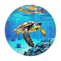 El abrazo de Ocean: el viaje de la tortuga marina