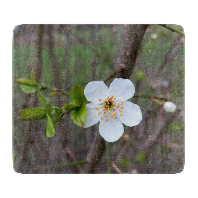Tabla De Cortar El blanco de la primavera (Anverso)