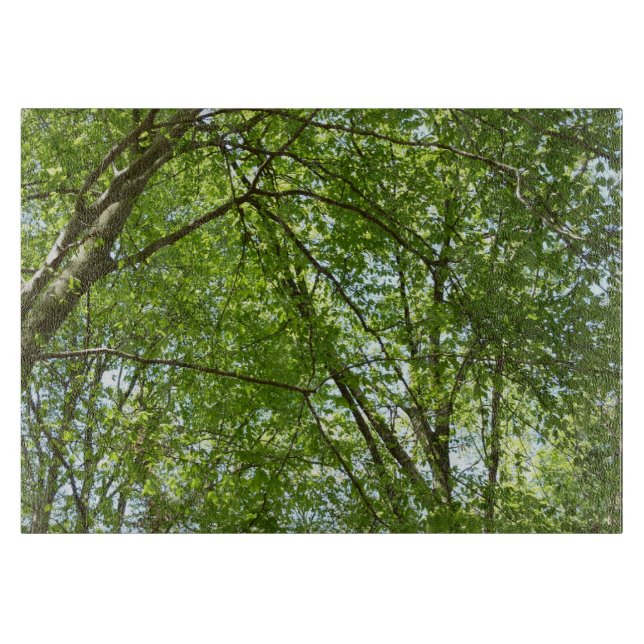 Tabla De Cortar El dosel de la primavera deja la naturaleza verde (Anverso)