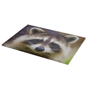 Tabla De Cortar El mapache, Procyon lotor