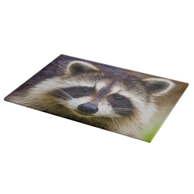 Tabla De Cortar El mapache, Procyon lotor (Borde)