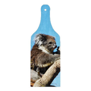 Tabla De Cortar El Oso Australiano De Koala En El Viejo Árbol De P