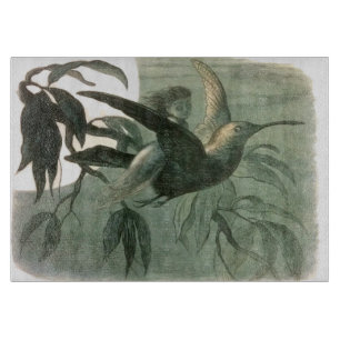 Tabla De Cortar Elf Fairies Elves Moon Night Scene Bird Flying
