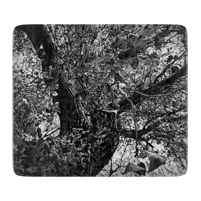 Tabla De Cortar Encontrarme en los árboles (Anverso)