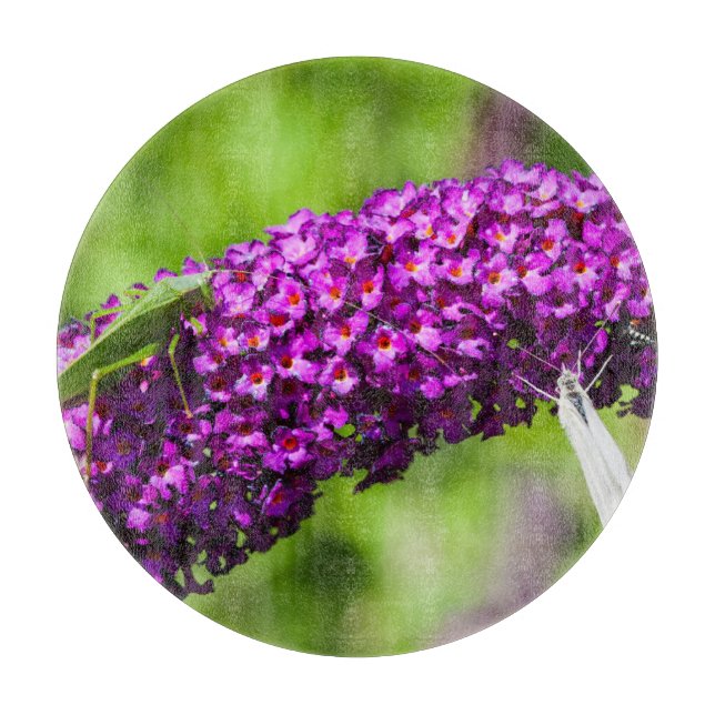 Tabla De Cortar energía katydid (Anverso)