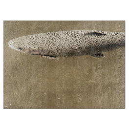 Tabla De Cortar Espectros