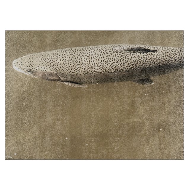 Tabla De Cortar Espectros (Anverso)