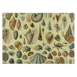 Tabla De Cortar Estampa vintage de conchas de Adolphe Millot Coste