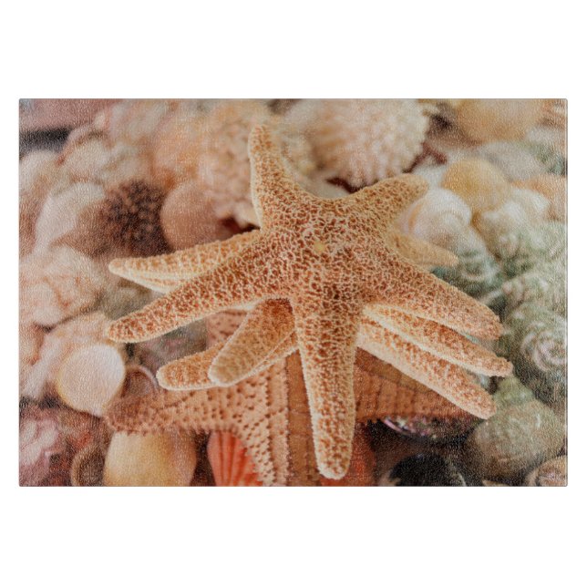 Tabla De Cortar Estrellas de mar secas vendidas como souvenirs 2 (Anverso)