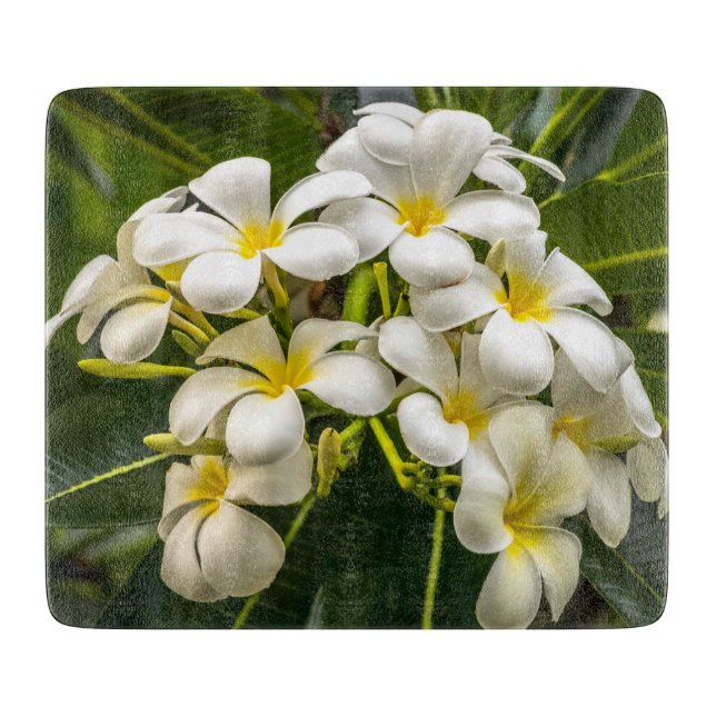 Tabla de cortar exótica del Plumeria de la isla (Anverso)