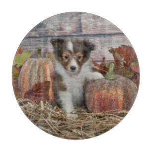 Tabla De Cortar Fall Sheltie Puppy