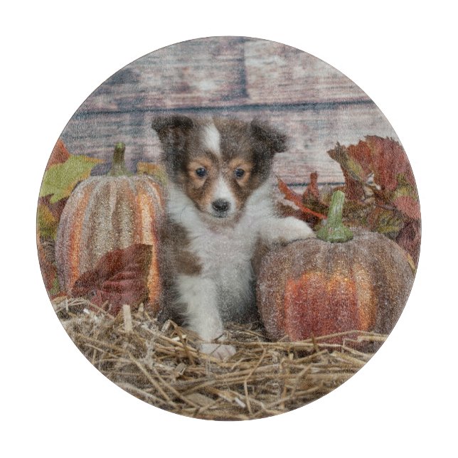 Tabla De Cortar Fall Sheltie Puppy (Anverso)