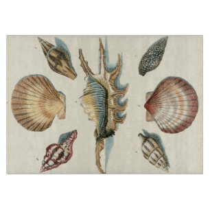 Tabla De Cortar Fancy Shell Beach