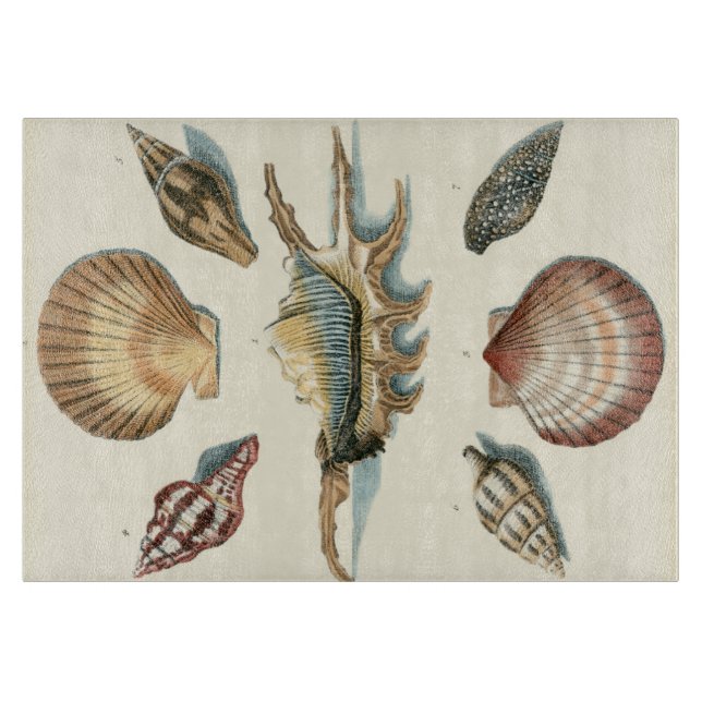 Tabla De Cortar Fancy Shell Beach (Anverso)