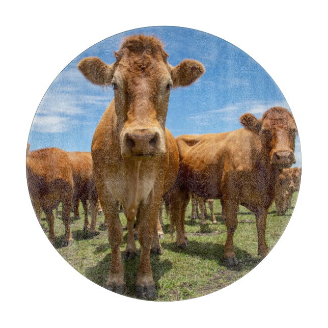 Tabla De Cortar Farms | Brown Cow Group (Anverso)
