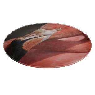 Tabla De Cortar Flamenco chileno, Phoenicopterus chilensis