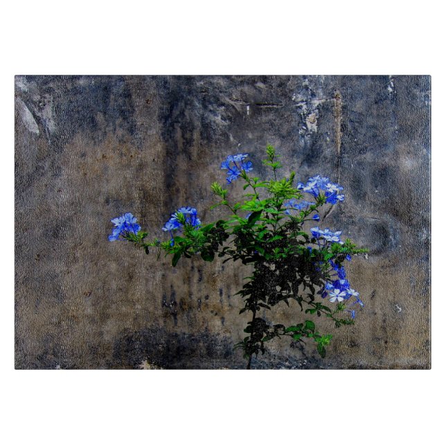 Tabla De Cortar Flor azul de Plumbago (Anverso)