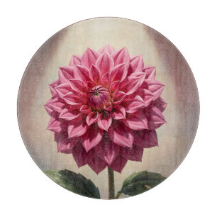 Tabla De Cortar Flor Botánica de Dalia Rosa