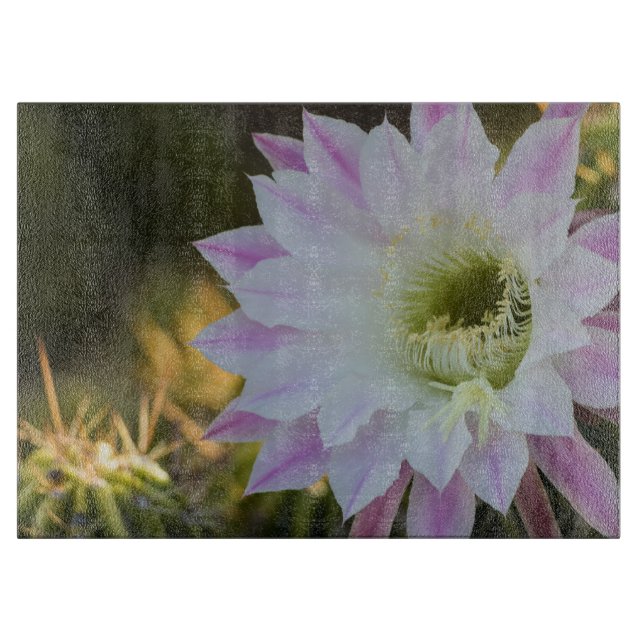 Tabla De Cortar Flor de cactus morado y blanco (Anverso)