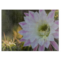 Flor de cactus púrpura y blanca