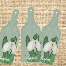 Flor delicada de Galanthus de primavera