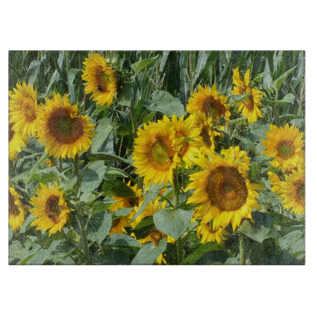 Tabla De Cortar flor, sol, planta, naturaleza, verano, floral, (Anverso)