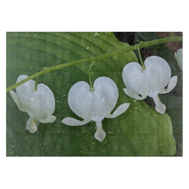 Tabla De Cortar Floral de corazón sangrante blanco (Anverso)