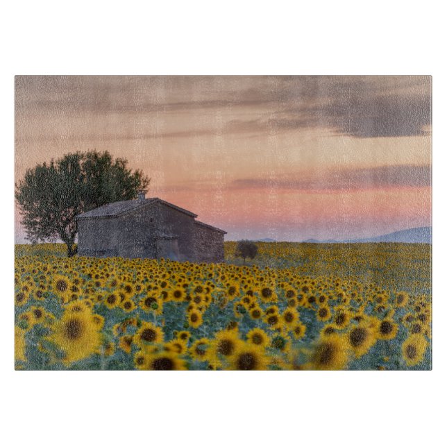 Tabla De Cortar Flores | Campo de girasol Provenza, Francia (Anverso)