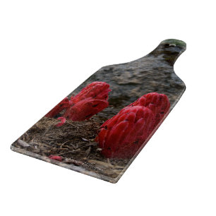 Tabla De Cortar Flores de nieve