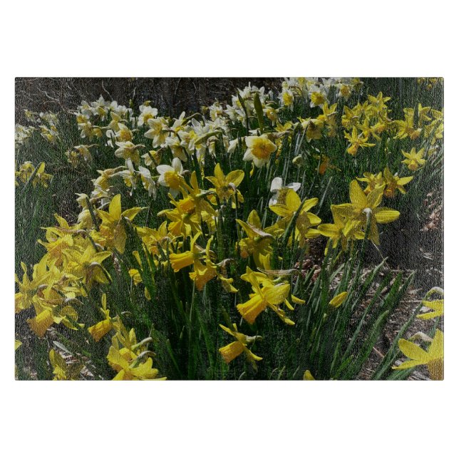 Tabla De Cortar Flores de primavera de los Daffodils amarillos y b (Anverso)
