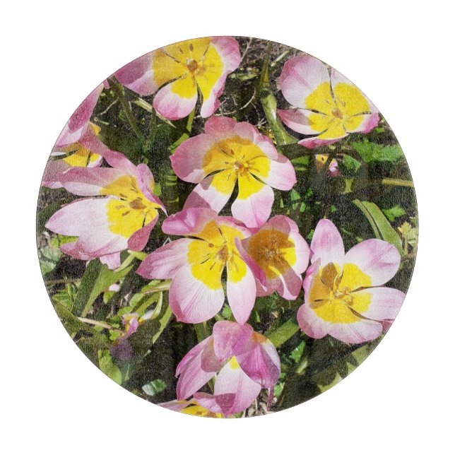 Tabla De Cortar Flores rosas y amarillas (Anverso)