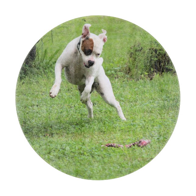 Tabla De Cortar Flotante (Anverso)